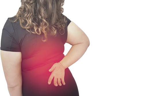 obesity effect on body and back