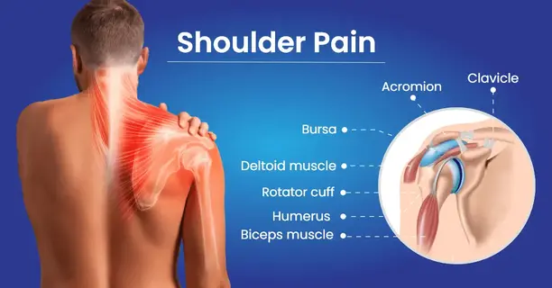 shoulder injury and pain
